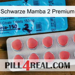 Black Mamba 2 Premium new14